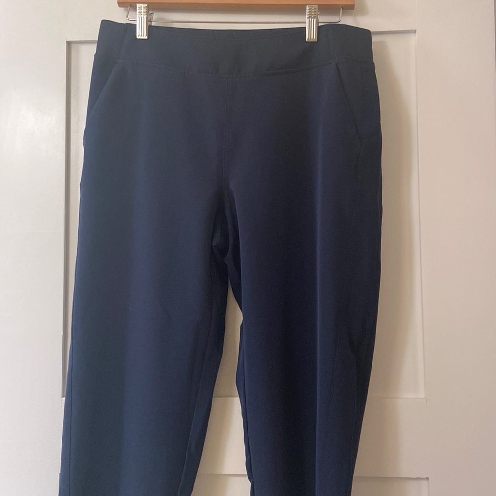 32 degrees navy pants
